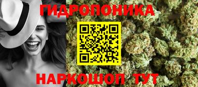 МДПВ Тара